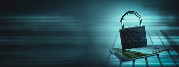Effective Strategies for Safeguarding Your Personal Information online privacy risks