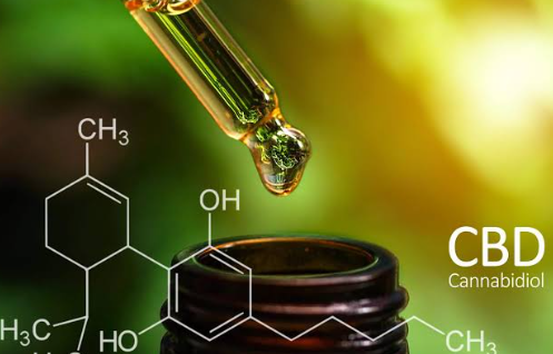 Essential CBD Education Topics for Beginners Essential CBD Education Topics for Beginners